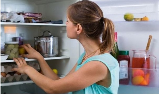 Sabe como funciona uma geladeira? Veja como cuidar e aumentar sua vida útil