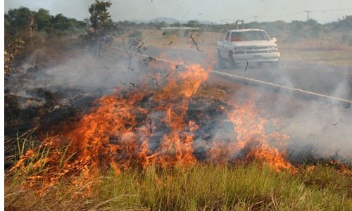 Queimadas aumentam em Franca e já causam problemas de saúde