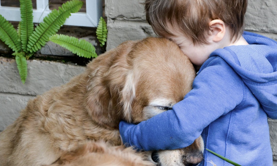 Ver vídeos de animais fofos faz muito bem para a saúde