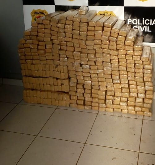 Quase meia tonelada de drogas apreendidas pela DISE são incineradas