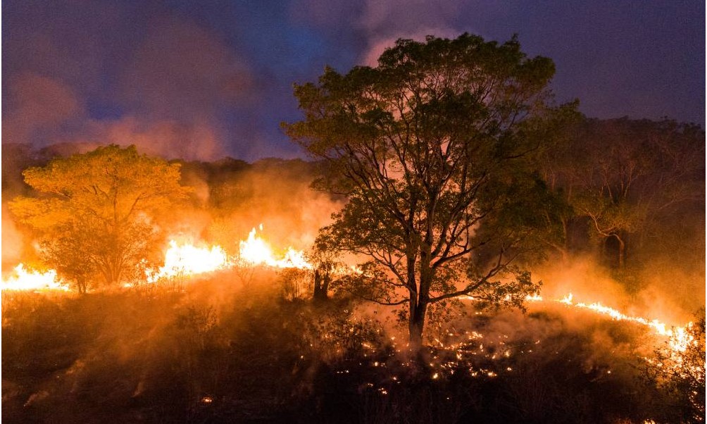 Desespero incontrolável: fogo já consumiu 26