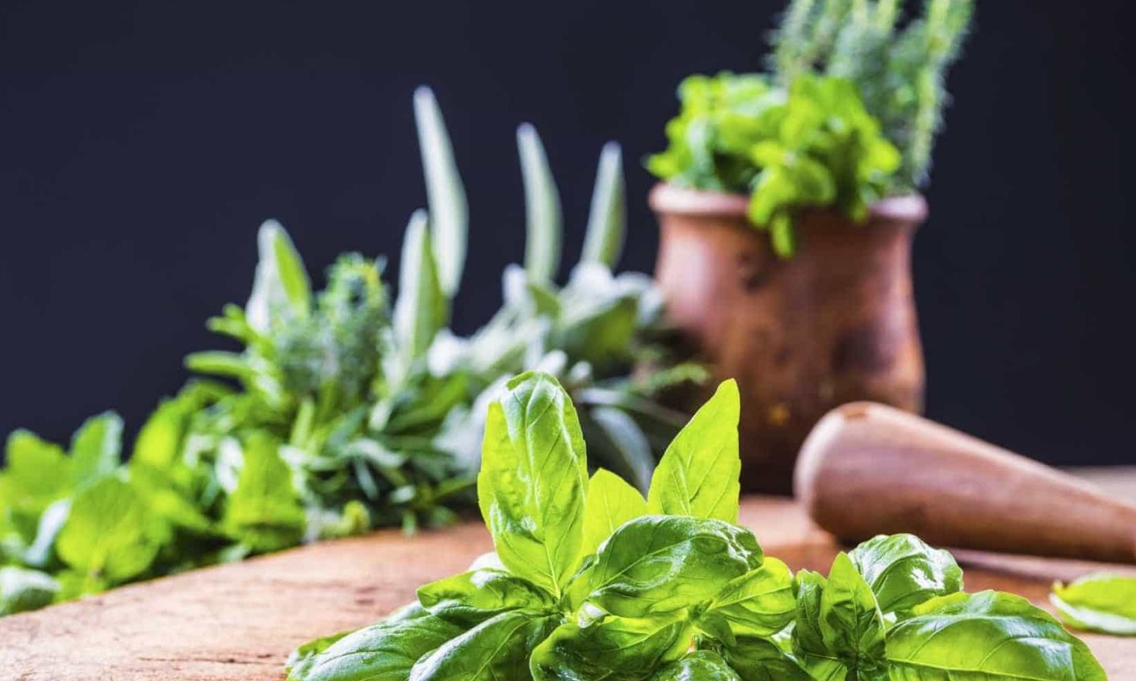 Estes seis alimentos são ricos em ácido fólico. Entenda sua importância