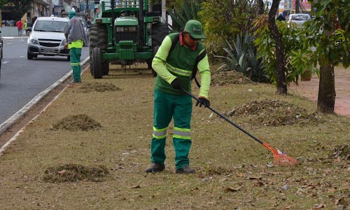 Árvores que margeiam Av. Dr. Ismael Alonso y Alonso recebem serviço de poda