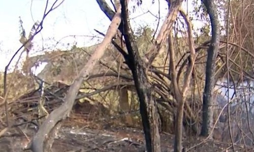 Incêndio destrói reserva de mata no município de Restinga