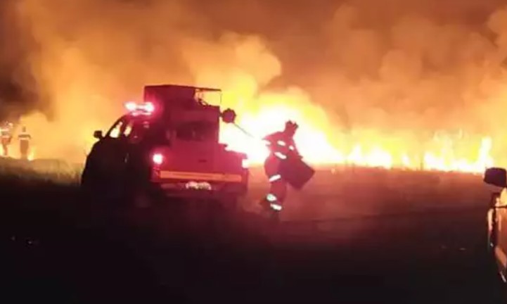 Senado aprova aviação agrícola no combate a incêndio florestal