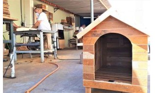 Reeducandos de Serra Azul produzem casinhas para cães abandonados