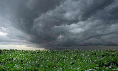 Inmet lança aplicativo de meteorologia para setor agrícola