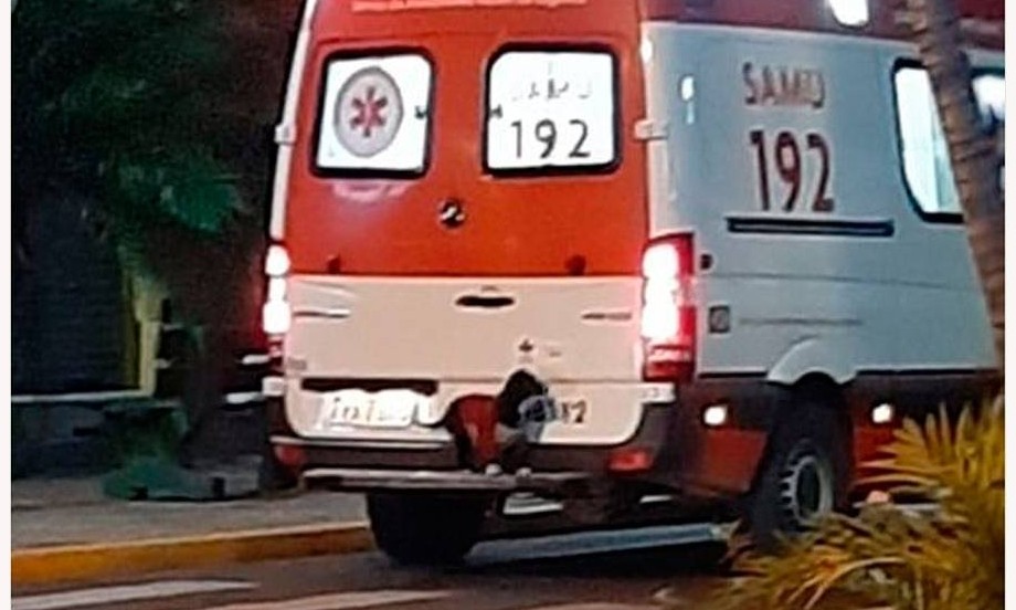 Isto é que é fidelidade: Cão sobe em ambulância para ir com dono ao hospital