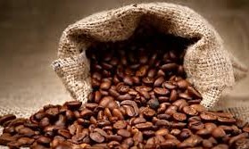 Colheita de café no Brasil, em 2020, pode ser maior do que a estimada