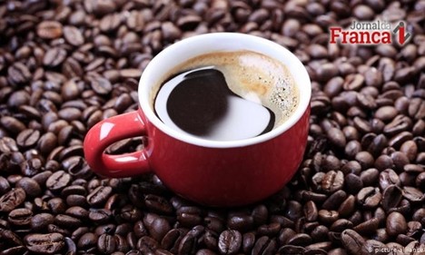Safra brasileira de café é suficiente para honrar exportação e consumo
