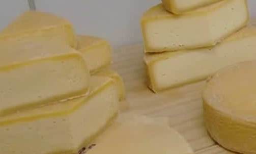 Pesquisas aprimoram queijo artesanal mineiro e melhoram produção