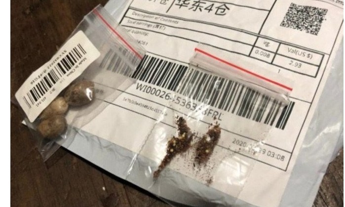 O que pode estar por trás das sementes que chegam da China pelos Correios