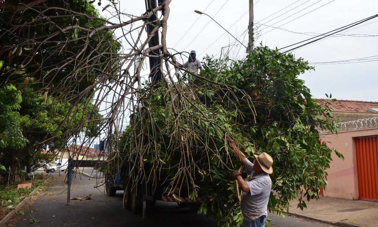 Em Franca, bairros Portinari e Tropical recebem serviços de poda de árvores