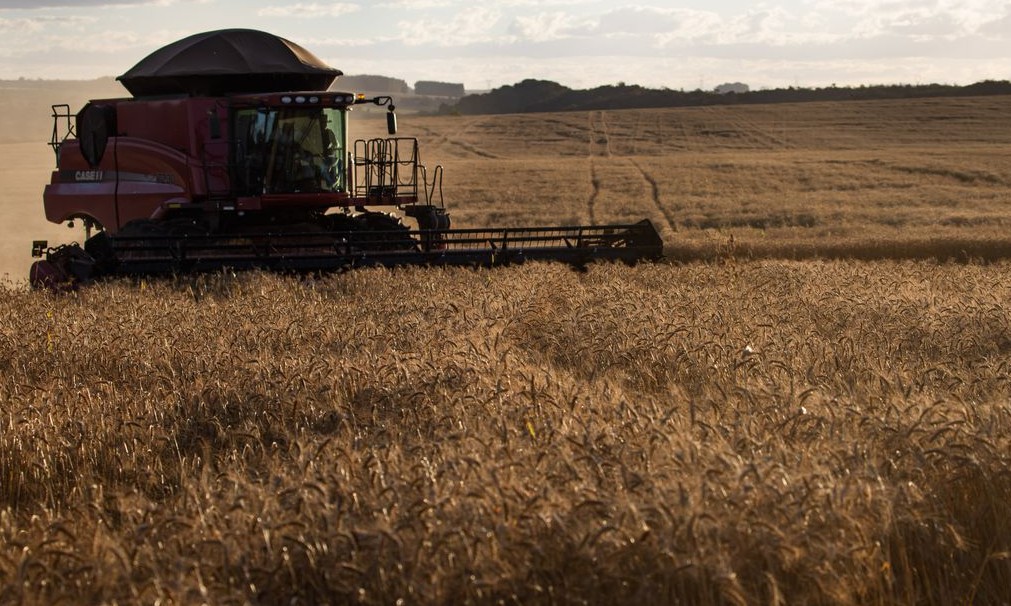 Safra: Ipea prevê menor crescimento do agronegócio em 2021