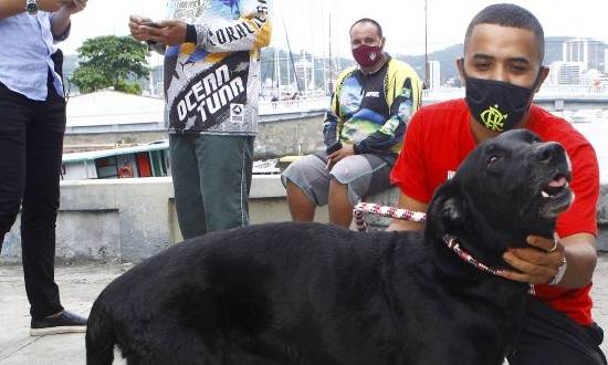 Labrador resgatado em alto-mar tem reencontro emocionante com o dono