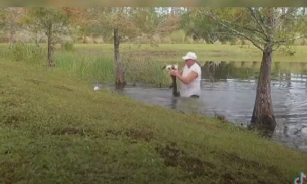 Herói corre perigo, mas tira cachorro da boca de jacaré em vídeo incrível