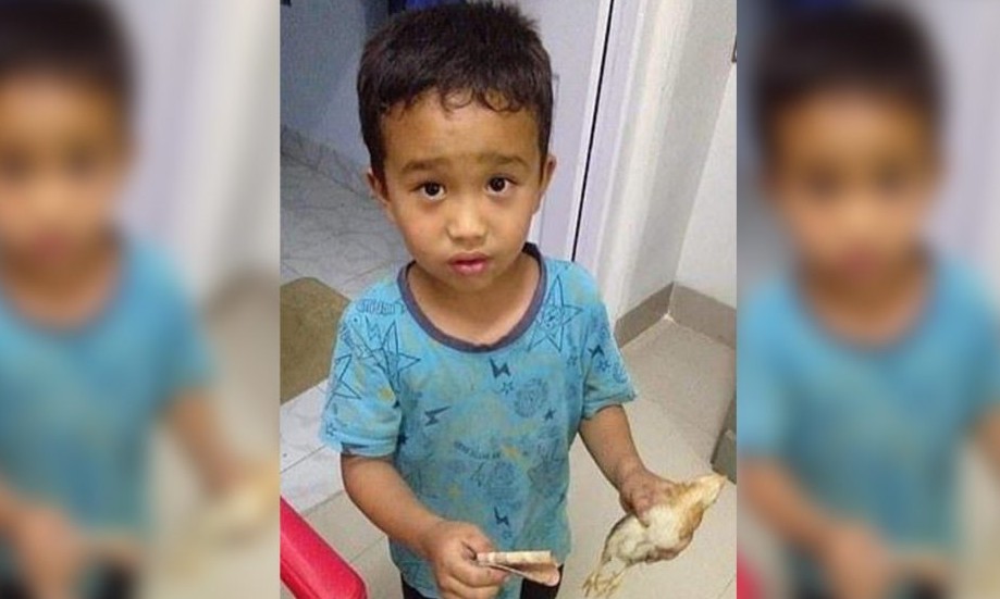 Menino atropela pintinho de bicicleta e o leva ao hospital com suas economias