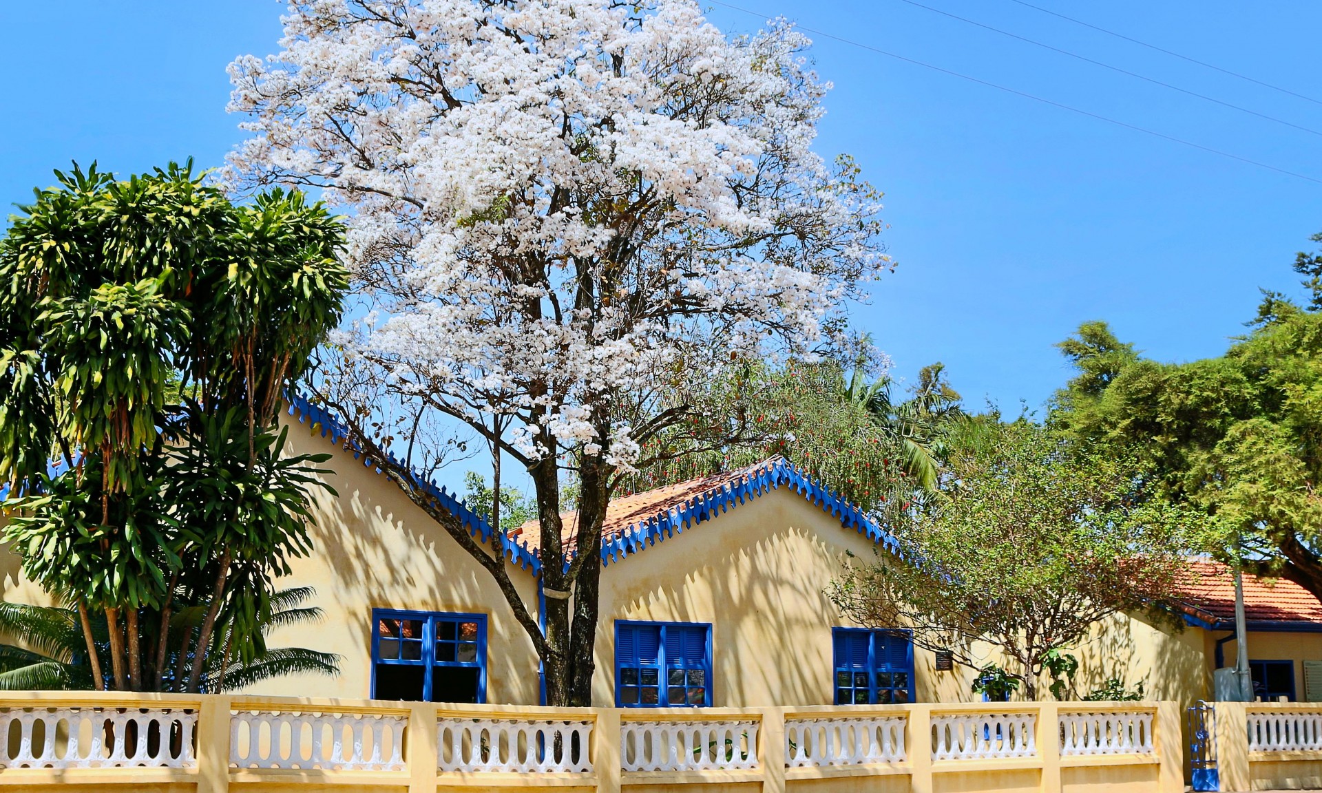 ​Novembro inicia com nova programação no Museu Casa de Portinari