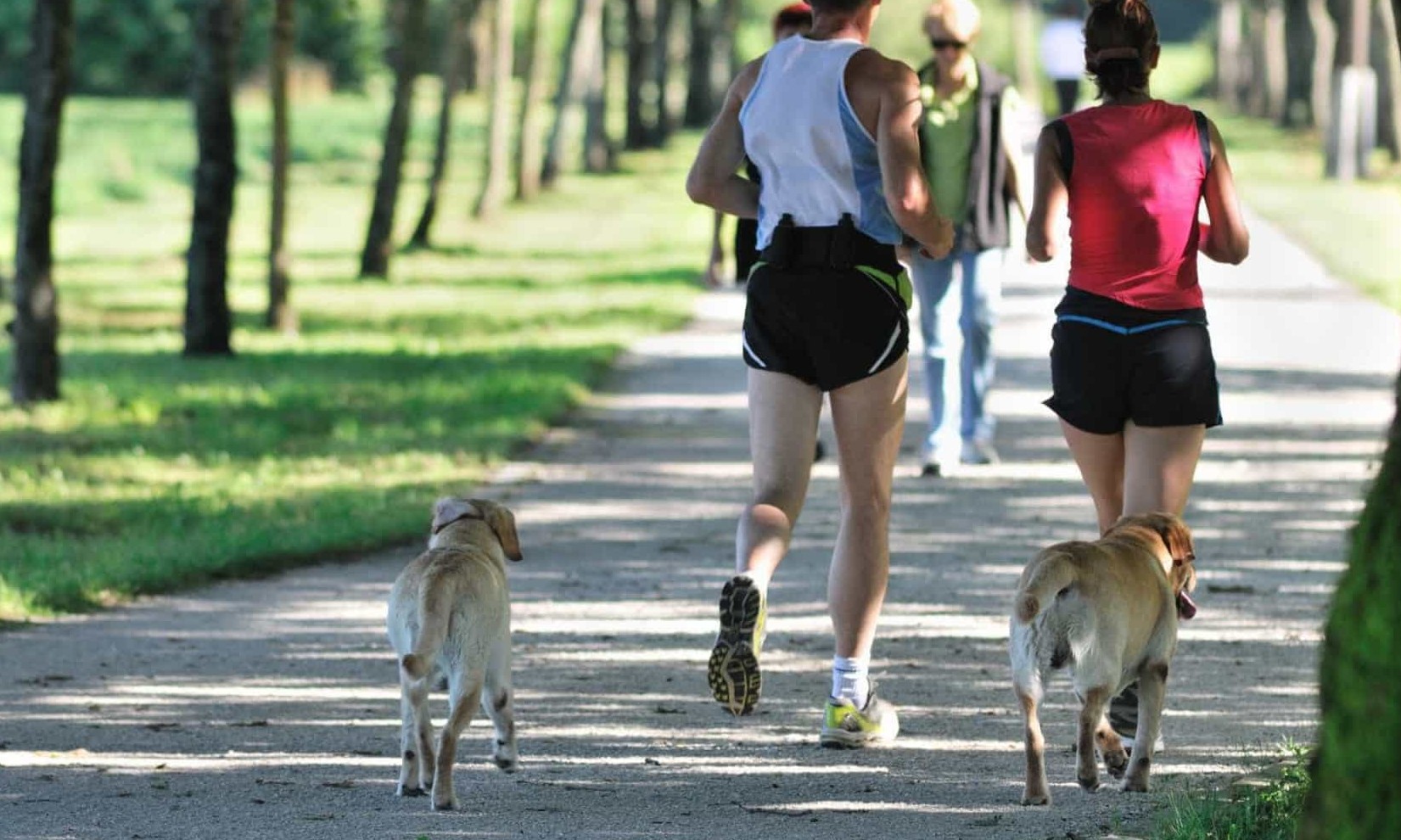 Quantos minutos de exercício são precisos para ter uma vida longa?