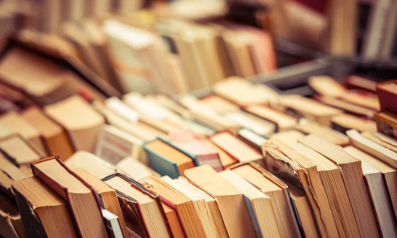 Flip 2020 divulga lista final de convidados e tem maioria de autores negros