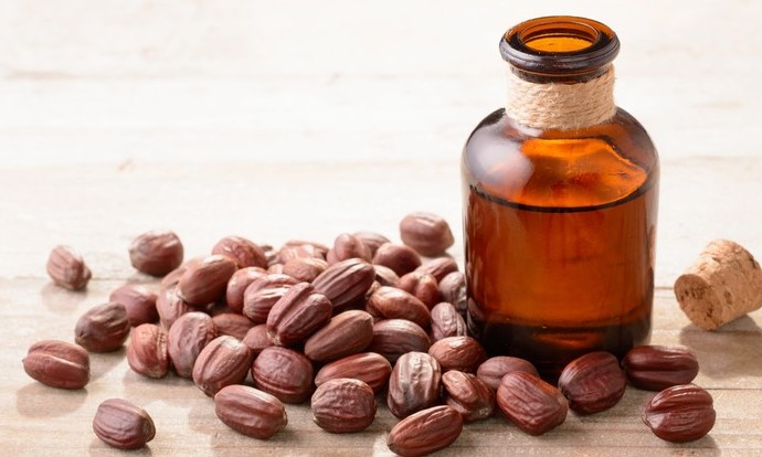 Saiba tudo sobre o óleo de jojoba, considerado o melhor elixir para cabelos