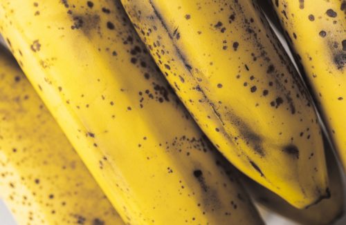 Não gosta de banana muito madura? Aprenda a conservar e congelar a fruta - Jornal da Franca