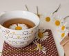 Como o chá de camomila pode contribuir de forma positiva para a saúde digestiva - Jornal da Franca