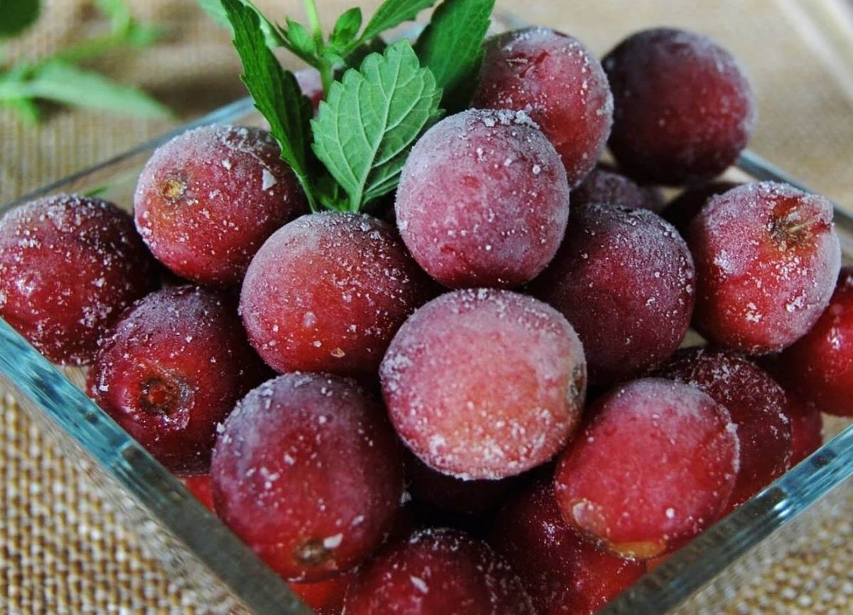 Saiba como fazer uva congelada e tenha sempre à mão um aperitivo saudável e delicioso