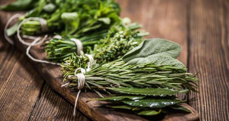 Ervas podem ser utilizadas na culinária, para emagrecimento e até mesmo para melhorar a saúde
