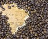 Pela 1ª vez em série histórica de Franca, café ultrapassa calçado em exportações - Jornal da Franca