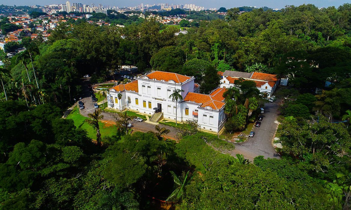 Instituto Butantan faz testes de soro em animais para tratar pacientes com covid-19