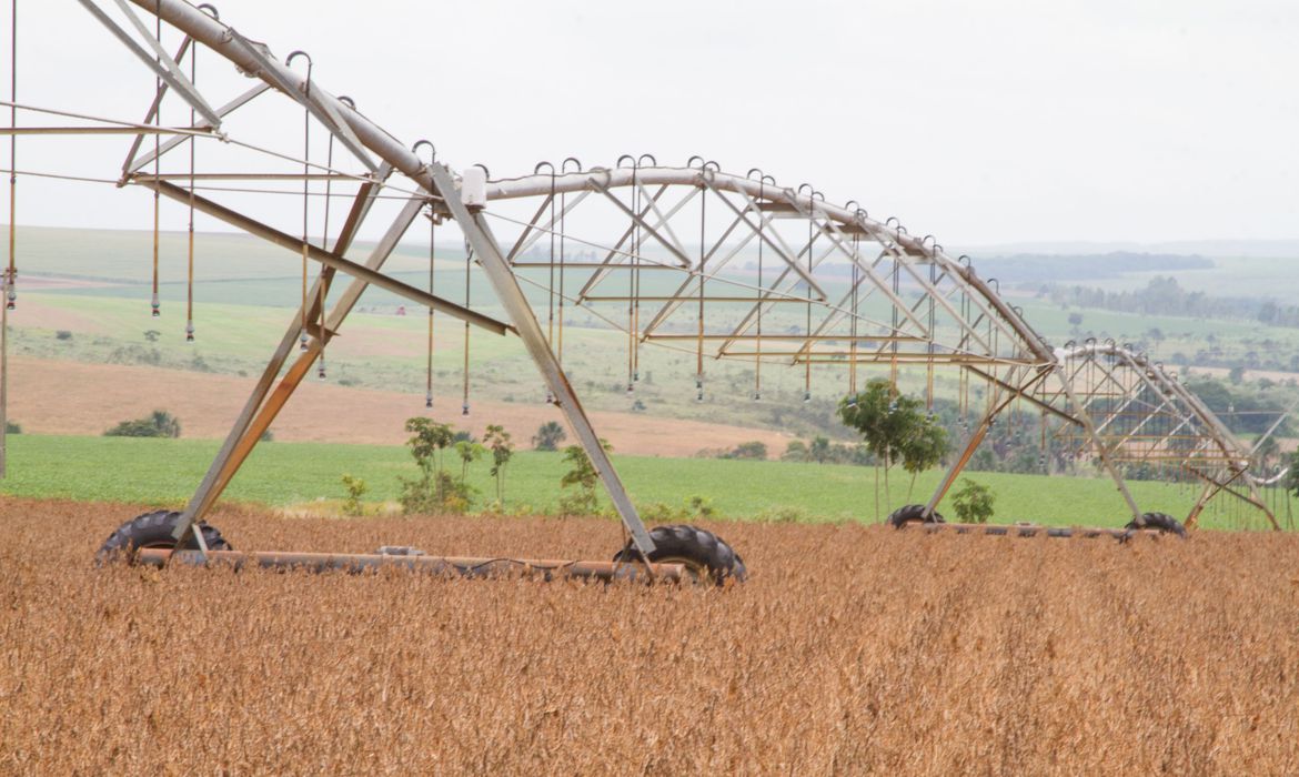 Balança comercial do agronegócio brasileiro soma US$ 100,81 bilhões em 2020