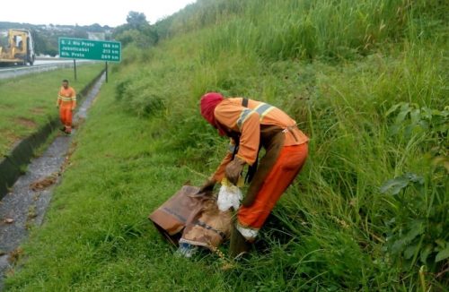 Motoristas jogam toneladas de lixos nas rodovias e prejudicam o meio ambiente - Jornal da Franca