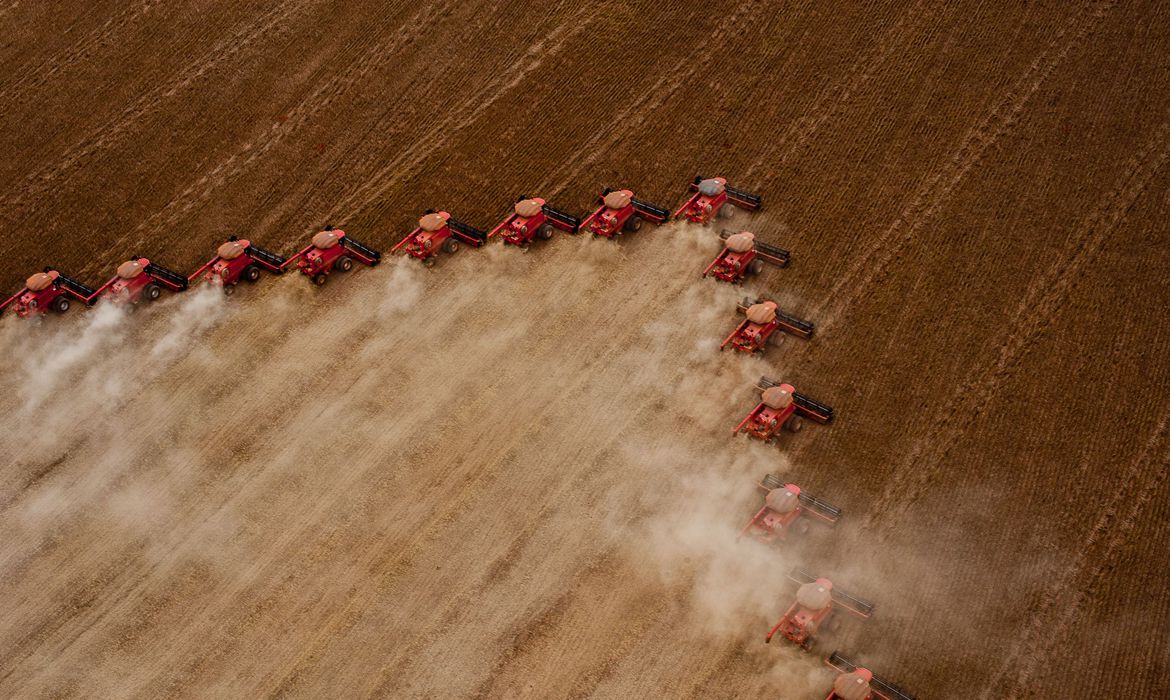 Safra de grãos para 2021 deve superar recorde de 2020, projeta levantamento do IBGE