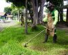 Prefeitura de Franca intensifica serviços de manutenção e limpeza em áreas públicas - Jornal da Franca