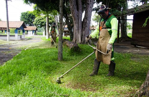 Prefeitura de Franca intensifica podas, manutenção e limpezas nas áreas públicas - Jornal da Franca