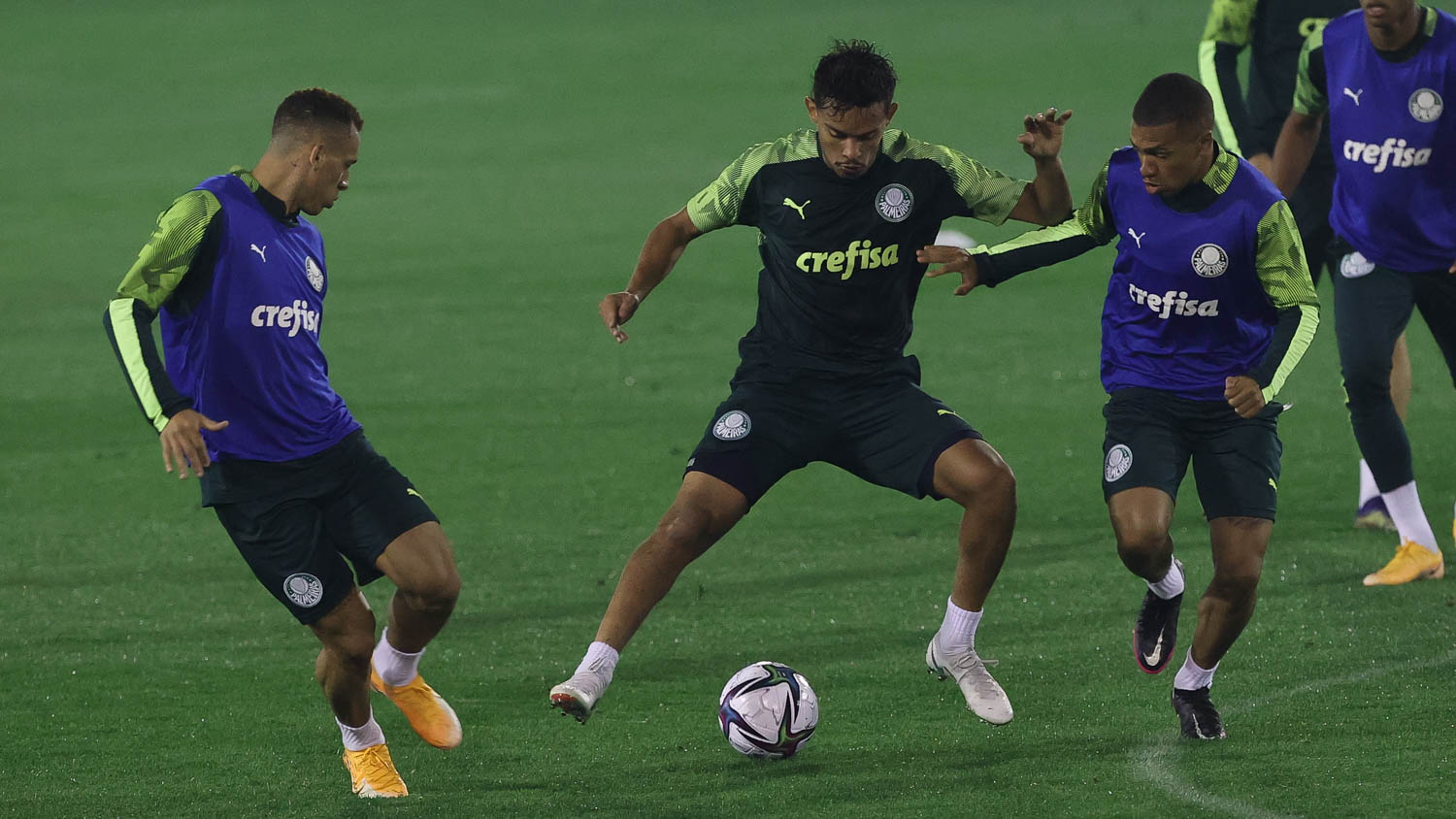 Palmeiras realiza treino neste sábado e está pronto para pegar o Tigres pelo Mundial