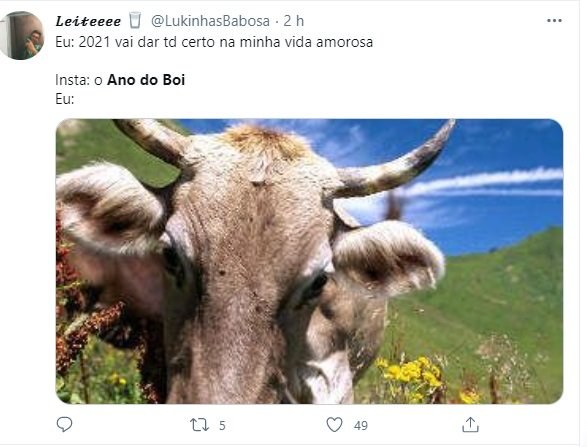 Meme no Instagram sobre Ano do Boi