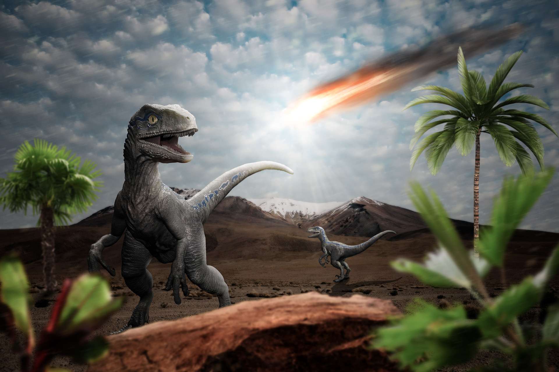 Extinção dos dinossauros aconteceu há 66 milhões de anos