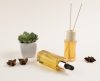 Aromaterapia: saiba como os óleos essenciais podem ajudar no seu bem-estar - Jornal da Franca