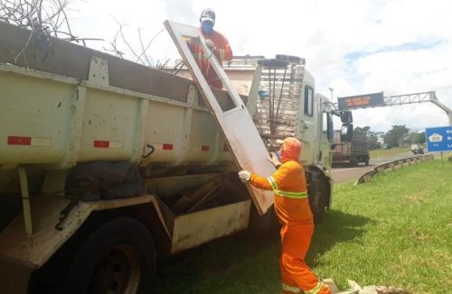Motoristas emporcalham acostamentos das rodovias; 20 toneladas de lixo recolhidas - Jornal da Franca