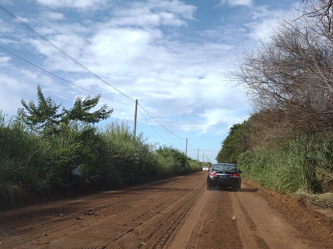 Estrada Franca a Batatais recebe manutenção do DER; Máquinas estão no local!