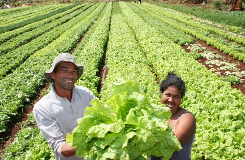 Alta de juros, crédito mais caro: preço de produtos agrícolas pode subir, diz Faesp - Jornal da Franca
