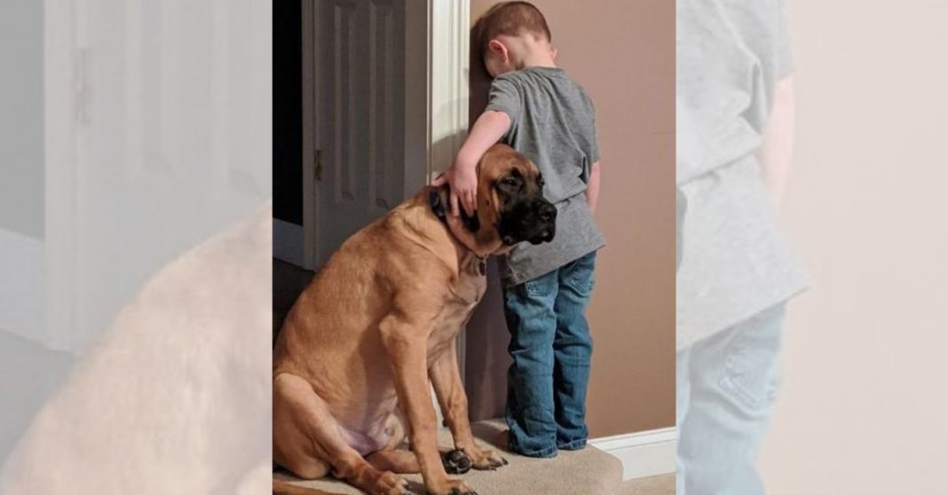Garoto de castigo ganha a companhia do seu cão de estimação