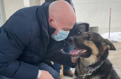 Homem adota cachorro que foi rejeitado em abrigos e cão acaba salvando a sua vida - Jornal da Franca