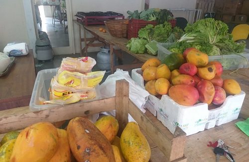 Sesi Franca faz arrecadação de alimentos para entidades filantrópicas da cidade - Jornal da Franca