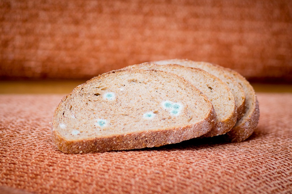 Pão velho e seco? Evite desperdício e saiba o truque para deixá-lo ‘fresco e fofo’