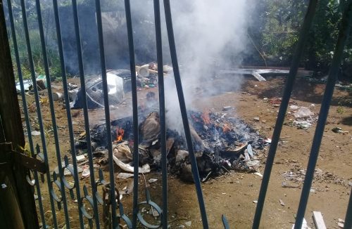 Guarda Civil de Franca flagra queimada irregular em terreno no Marambaia - Jornal da Franca