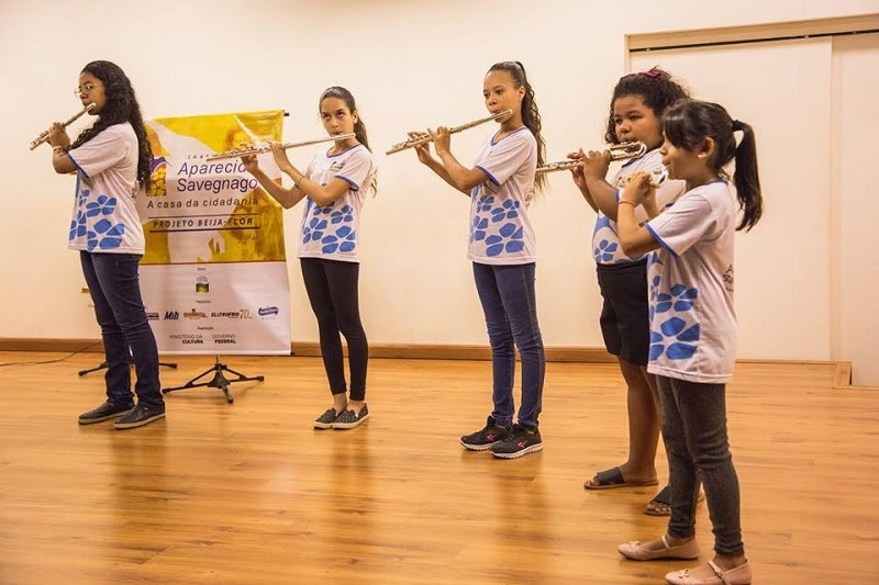 Projeto Beija-Flor lança loja virtual beneficente durante live neste domingo