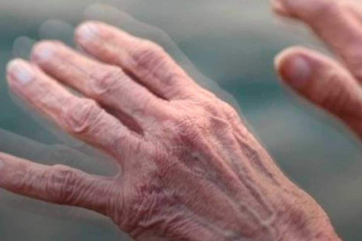 Dia Mundial do Mal de Parkinson: como identificar, tratar e lidar com a doença